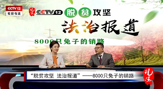 疫情突来,8000只兔子滞销!怎么办?“兔子”书记的“神”操作来了!